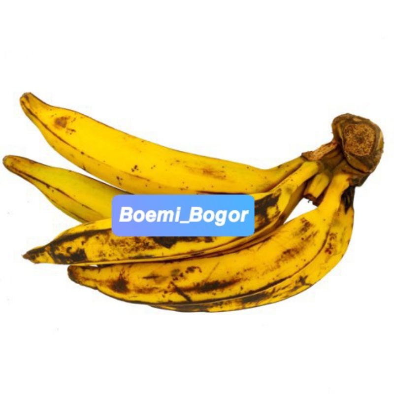 

Pisang tanduk 1kg