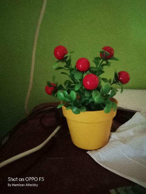 Set Pot + Bunga Palsu Hias Plastik Bunga Artifisial Bunga  Dekorasi Rumah Shabby Lover Buah Imitasi