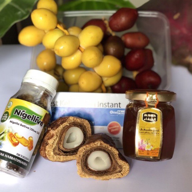 PROGRAM HAMIL KURMA MUDA LENGKAP