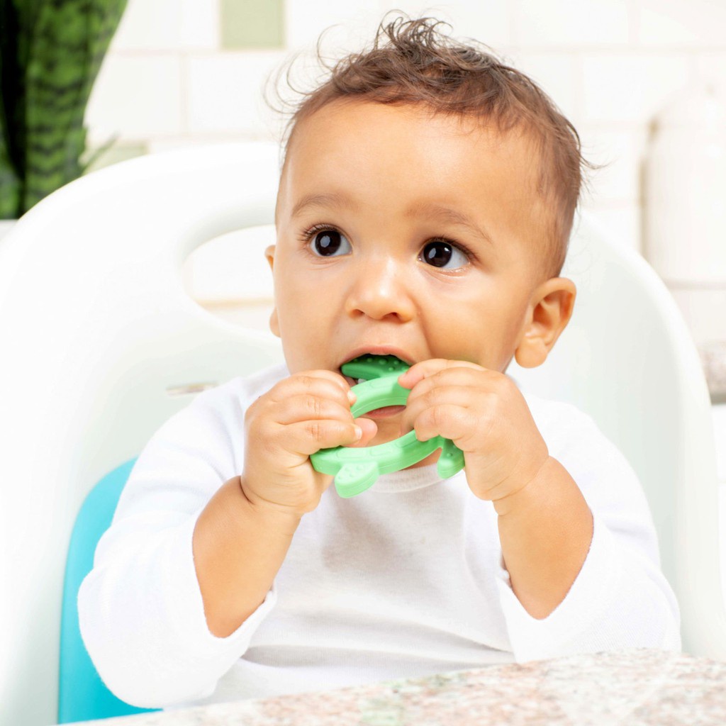 DR BROWNS STARTER SPOON TURTLE / SENDOK TEETHER / SENDOK MAKAN BAYI