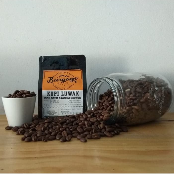 

Kopi Luwak Burgayo 100gr