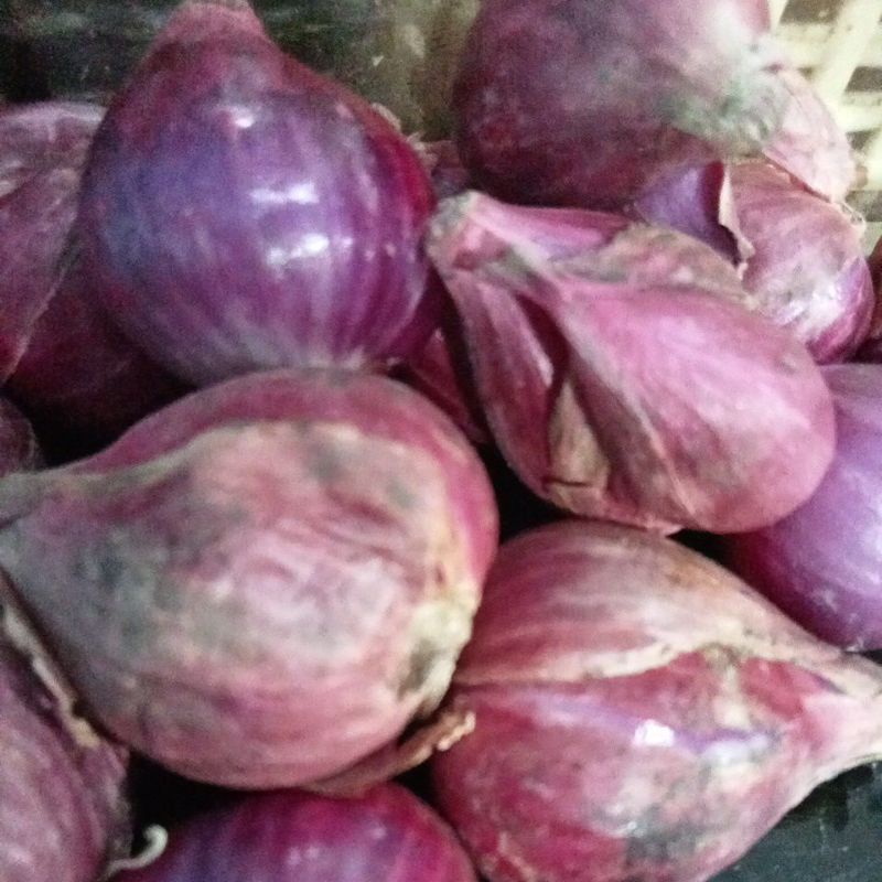 BAWANG MERAH LOKAL BREBES UKURAN BESAR 1 KG