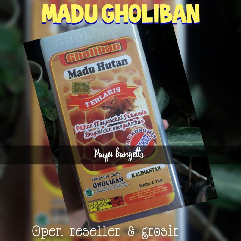 

MADU GHOLIBAN ORIGINAL