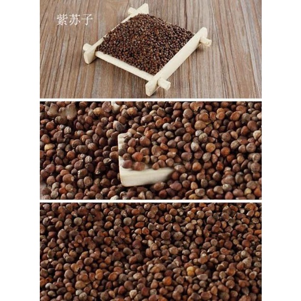 

100gr 紫蘇子 Zi Su Zi Perilla Frutescens Fructus Perillae Seed Perillafrutescens Perillae Fructus Perilla Fruit