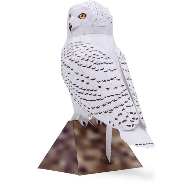 Snowy Owl (Male, Standing) papercraft
