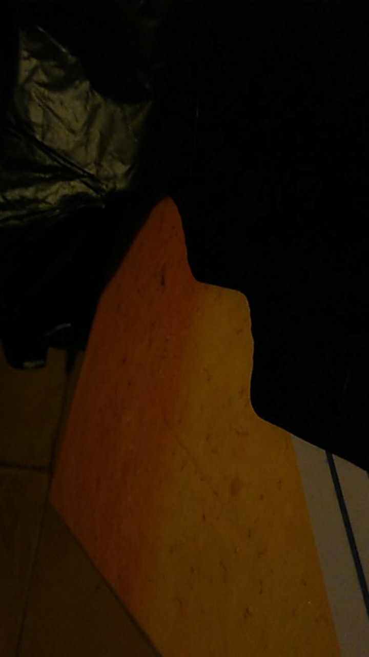 [ Orange   ] Dus Serbaguna Paper Lunch Box Tebal