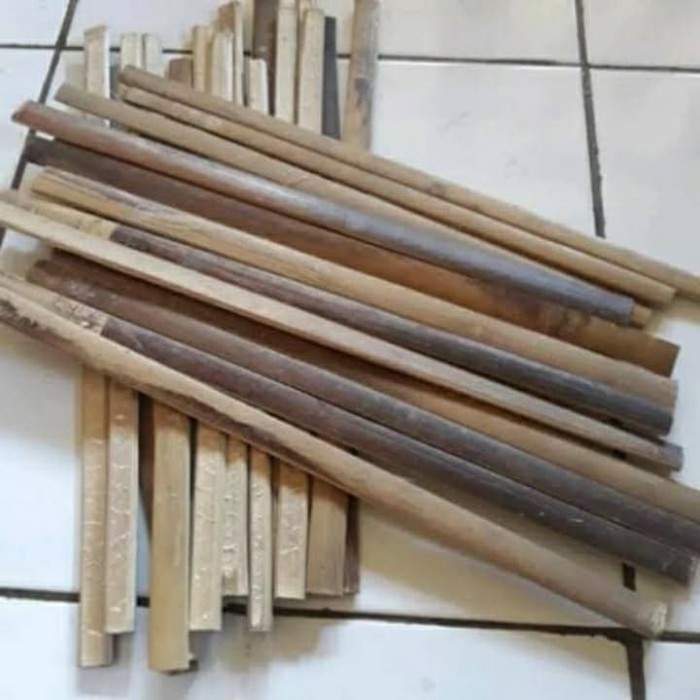 AJIR TANAMAN BAMBU / TURUS PENYANGGA TANAMAN