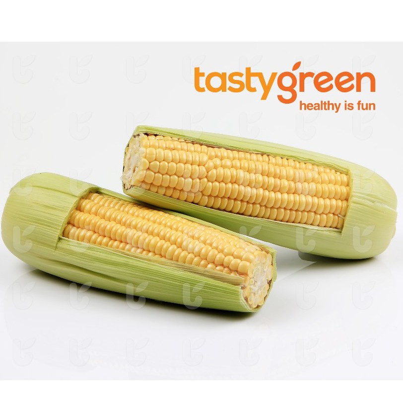 

Tasty Green Jagung Manis Kulit 2 pcs