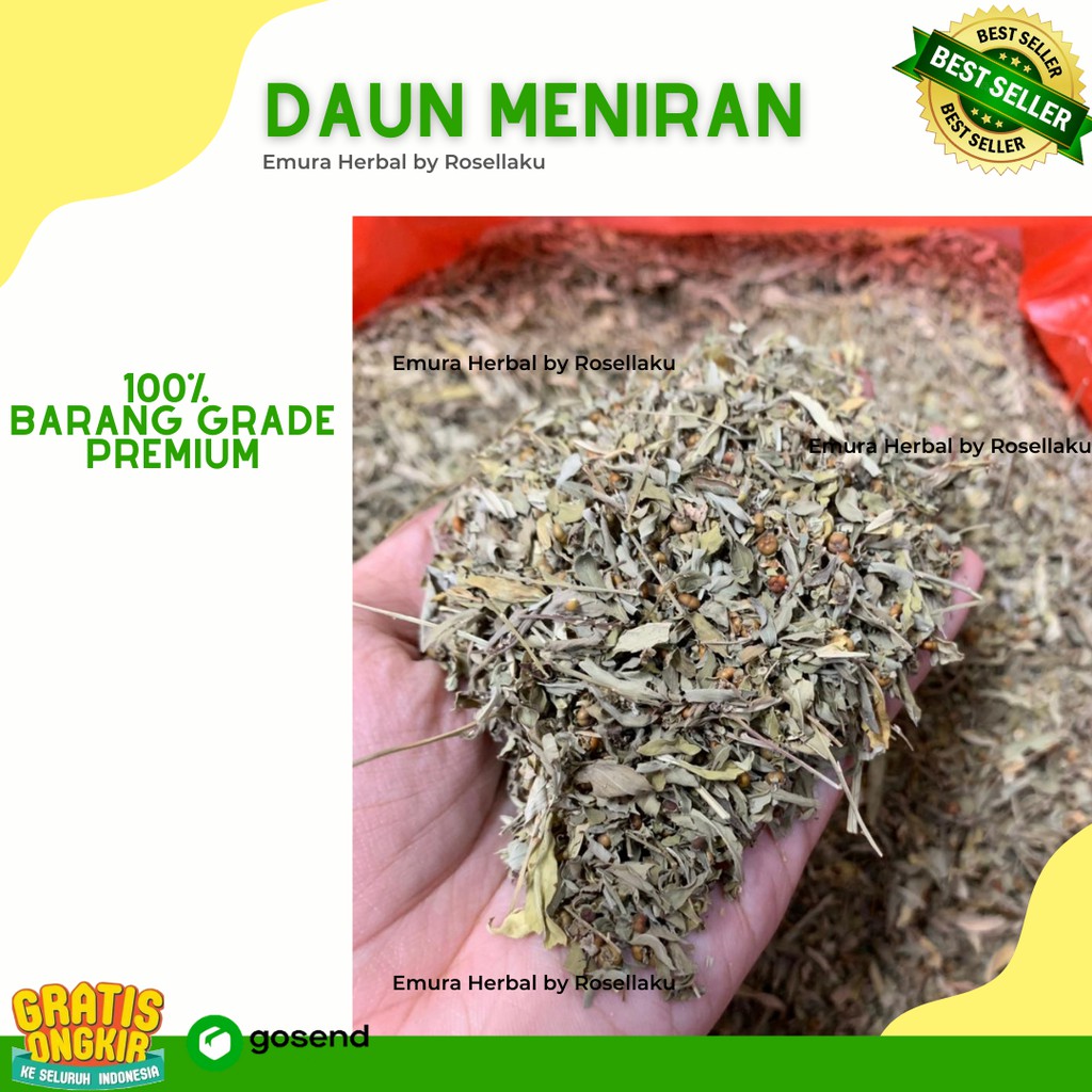 

DAUN MENIRAN KERING Premium 100 Gram / Obat Ginjal Herbal / Obat Imun