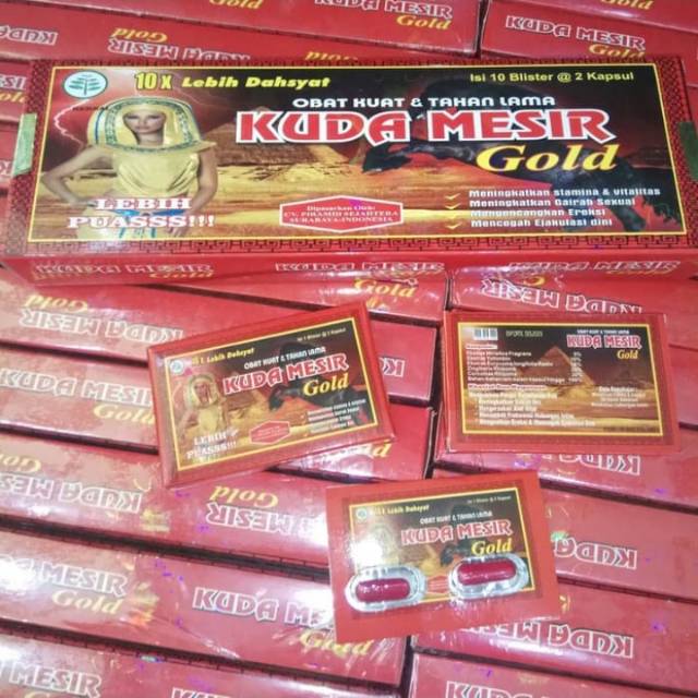 KAPSUL KUDA MESIR GOL