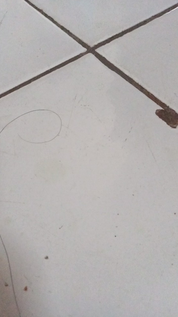 Batik Tunik Shibori Jumputan Terbaru Size S-3l / Hrb026 Yelbor Navbor / Biru Putih