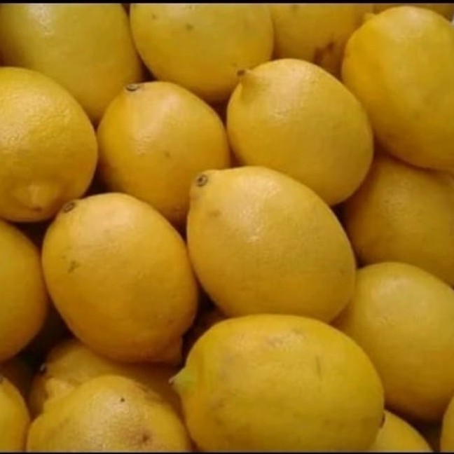 

Buah jeruk Lemon california fresh 1 kg