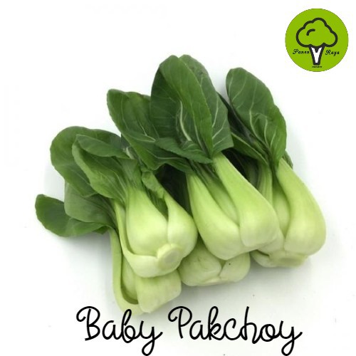 

SAYURAN / BABY PAKCOY [250GR]