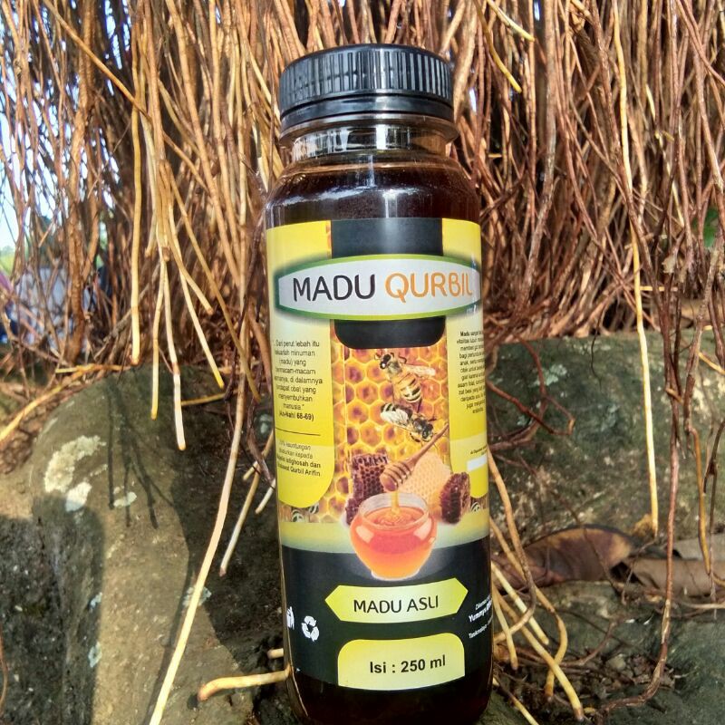 

Madu murni (Odeng)