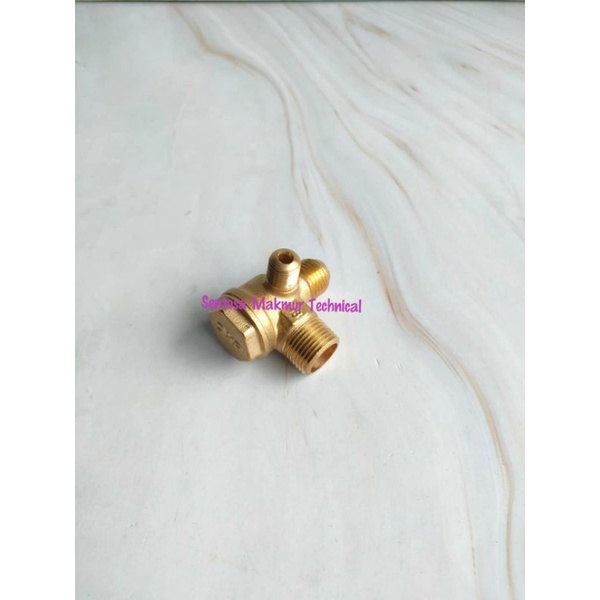 Check Valve Nepel Klep Kompresor Oilless Oiless Silent Derat Drat Luar