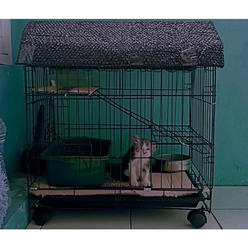 Kandang Kucing Tingkat 2 Jumbo Atap Rumah