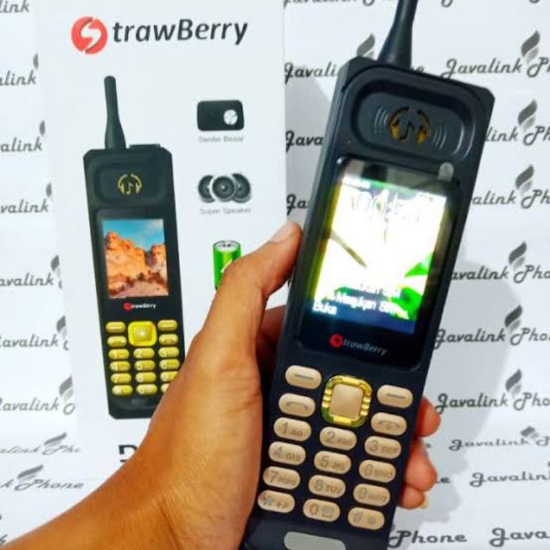 Strawberry Dakota Hp Terpanjang Di Dunia