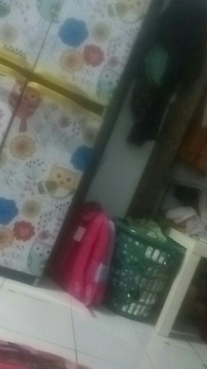 Spons Daki - Spons Mandi Pengangkat Daki