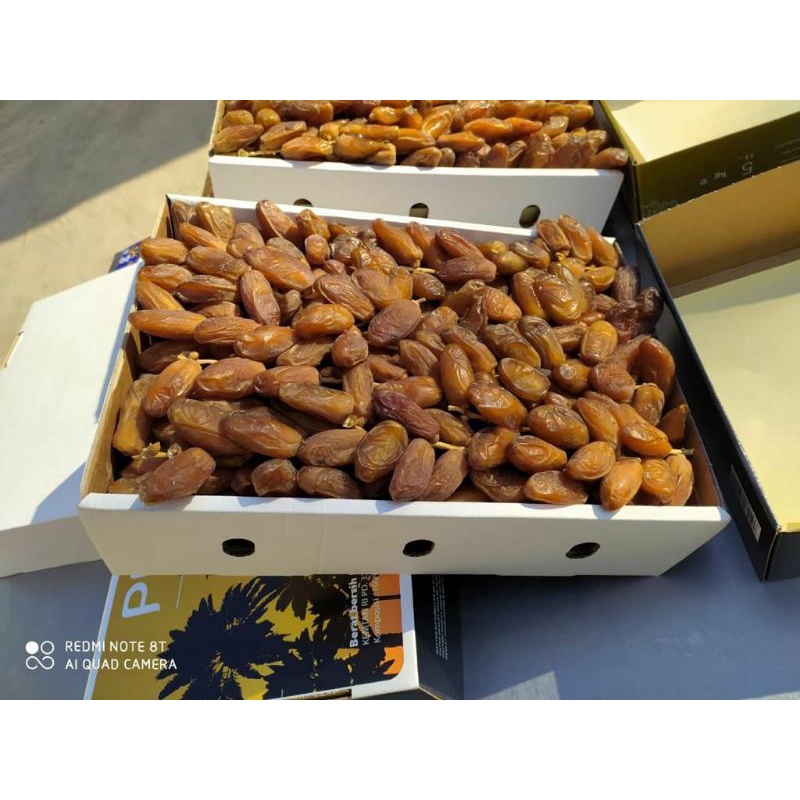 

KURMA TUNISIA 1kg PREMIUM (grade A)
