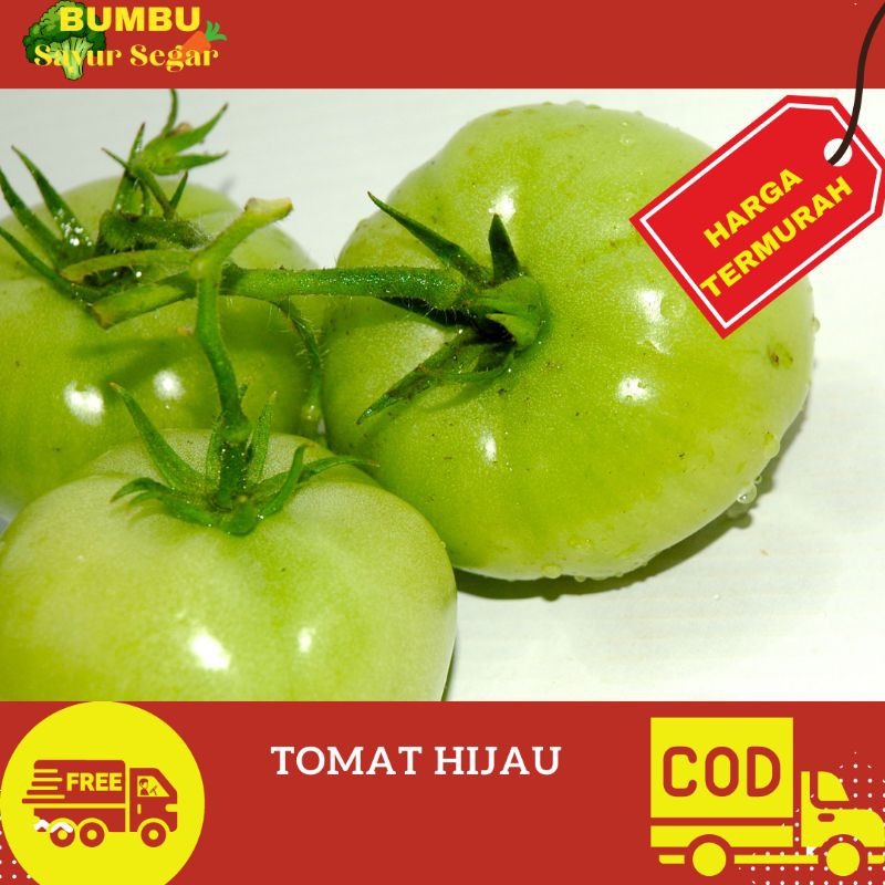 

TOMAT HIJAU SEGAR