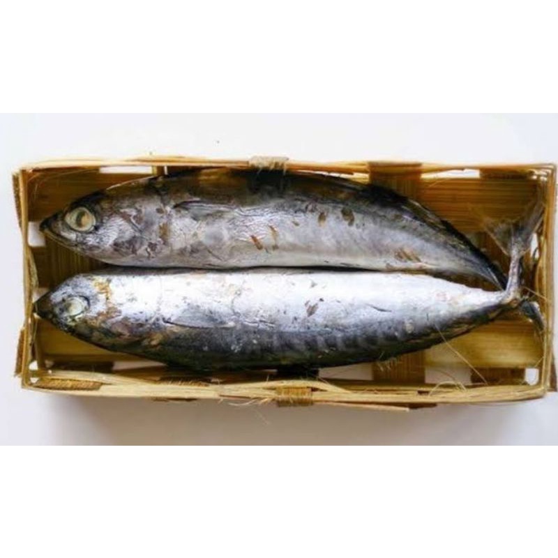 

Ikan cue 1 keranjang