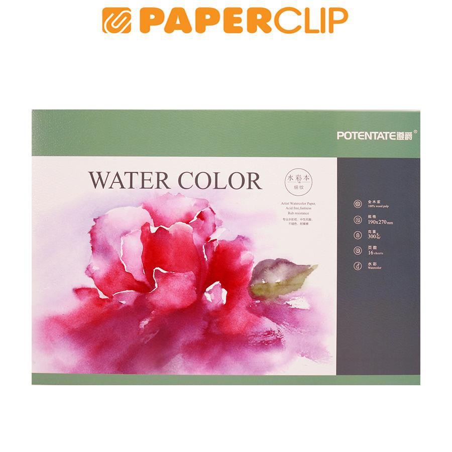 

POTENTATE WATER COLOUR SMOOTH 16 020746