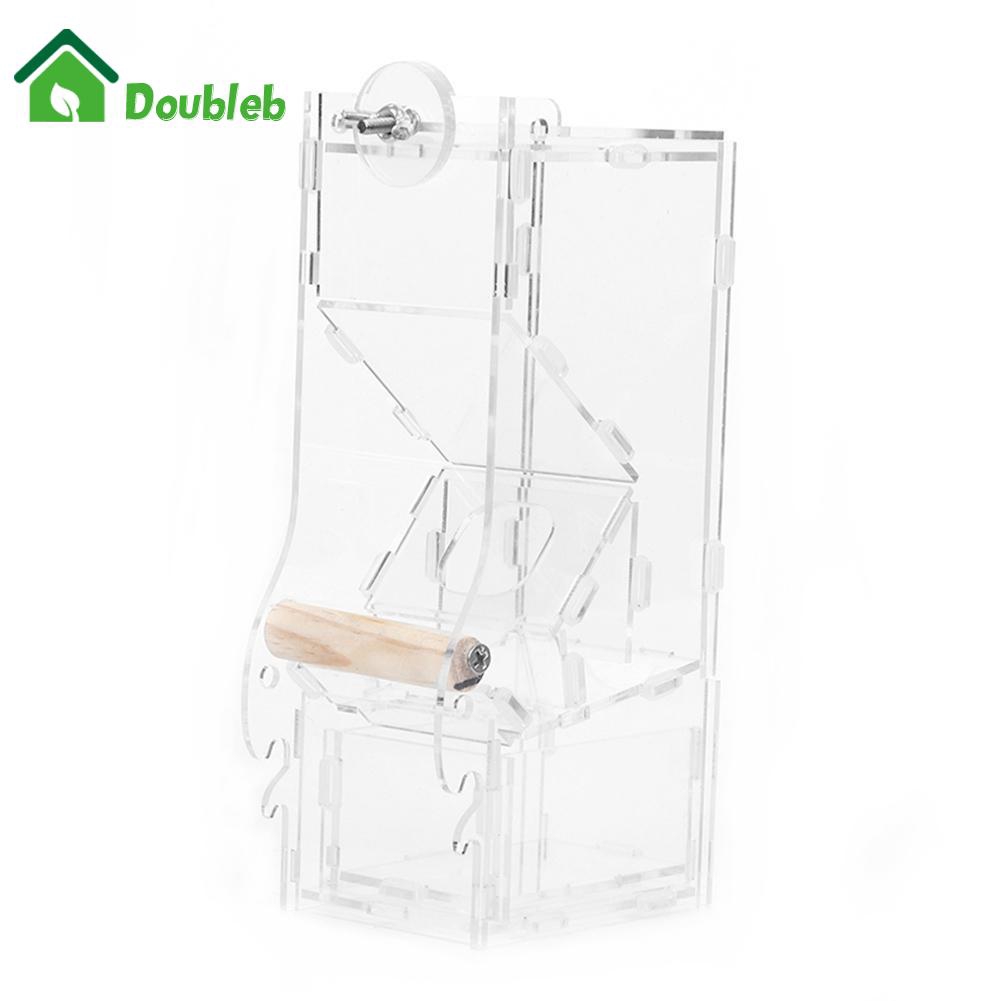 ˇpengumpan Slot Tunggal Parrot Kotak Makan Burung Hewan