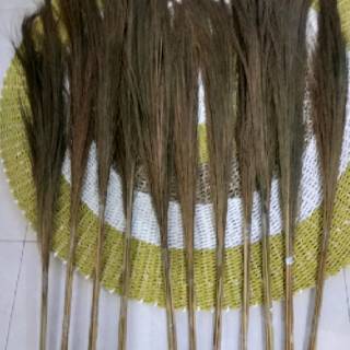 Grosir pampas Long grass Bunga kering pampas Bunga 