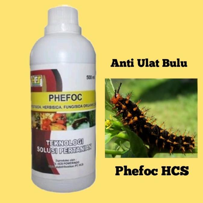 Pestisida organik cair pembasmi ulat bulu phefoc hcs termurah