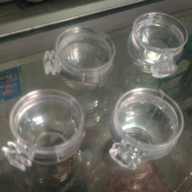 CEPUK BULAT NOMOR 3 ELITE SONG TEMPAT PAKAN MINUM BURUNG PLECI KOLIBRI