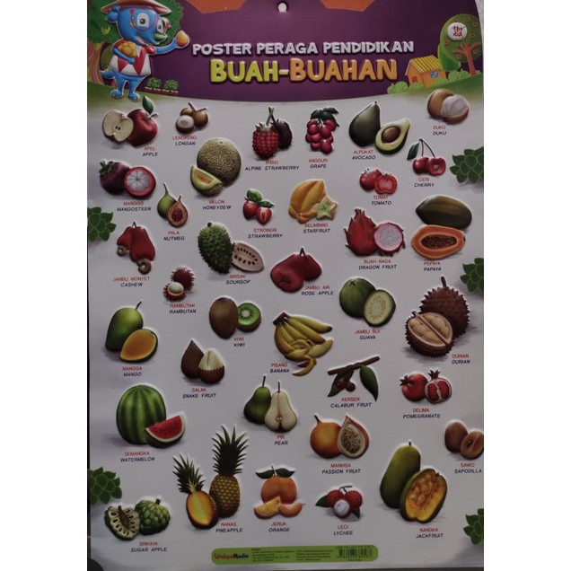 

Gramedia Padang - Poster Peraga Pendidikan Buah Buahan