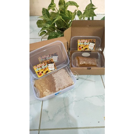 

sarang madu murni anta Syafi.250gr
