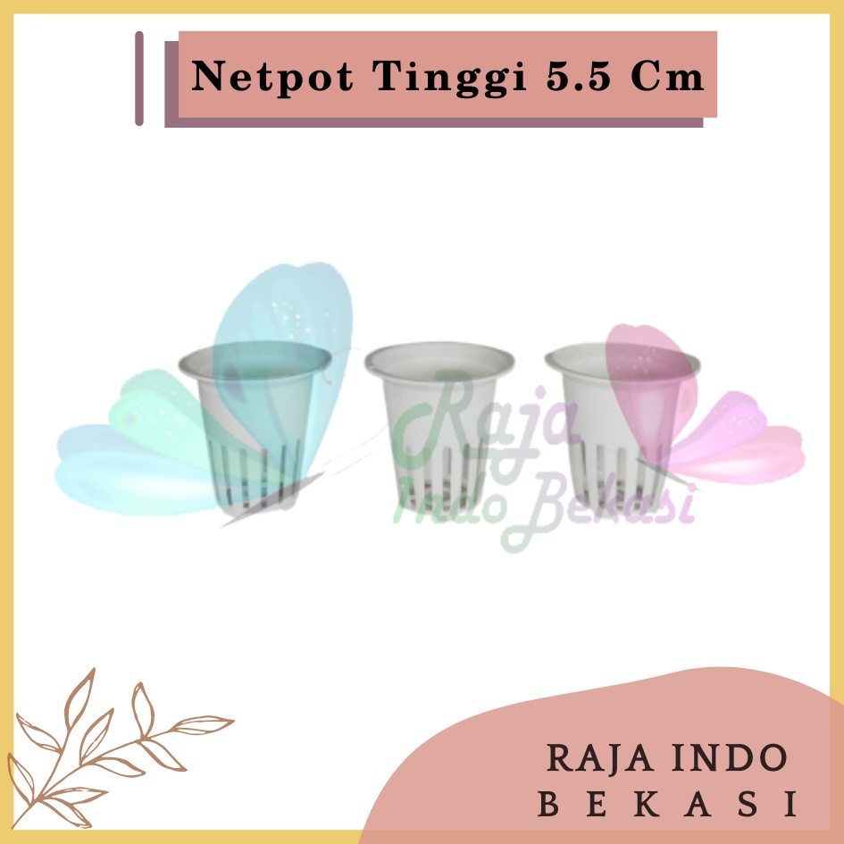 Netpot Putih 5CM New Design Lubang Bawah 1 Grosir Net Pot Hidroponik 5 Cm Tinggi 5.5CM Hydroponic