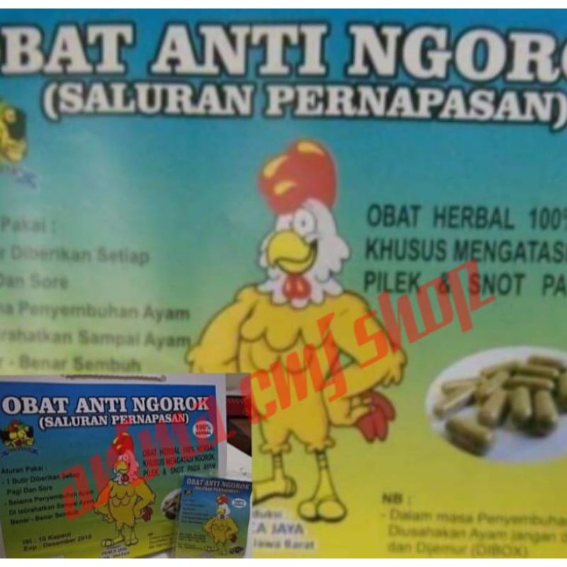 obat anti ngorok ayam/jamu herbal ayam anti ngorok/ PANCA JAYA, anti ngorok