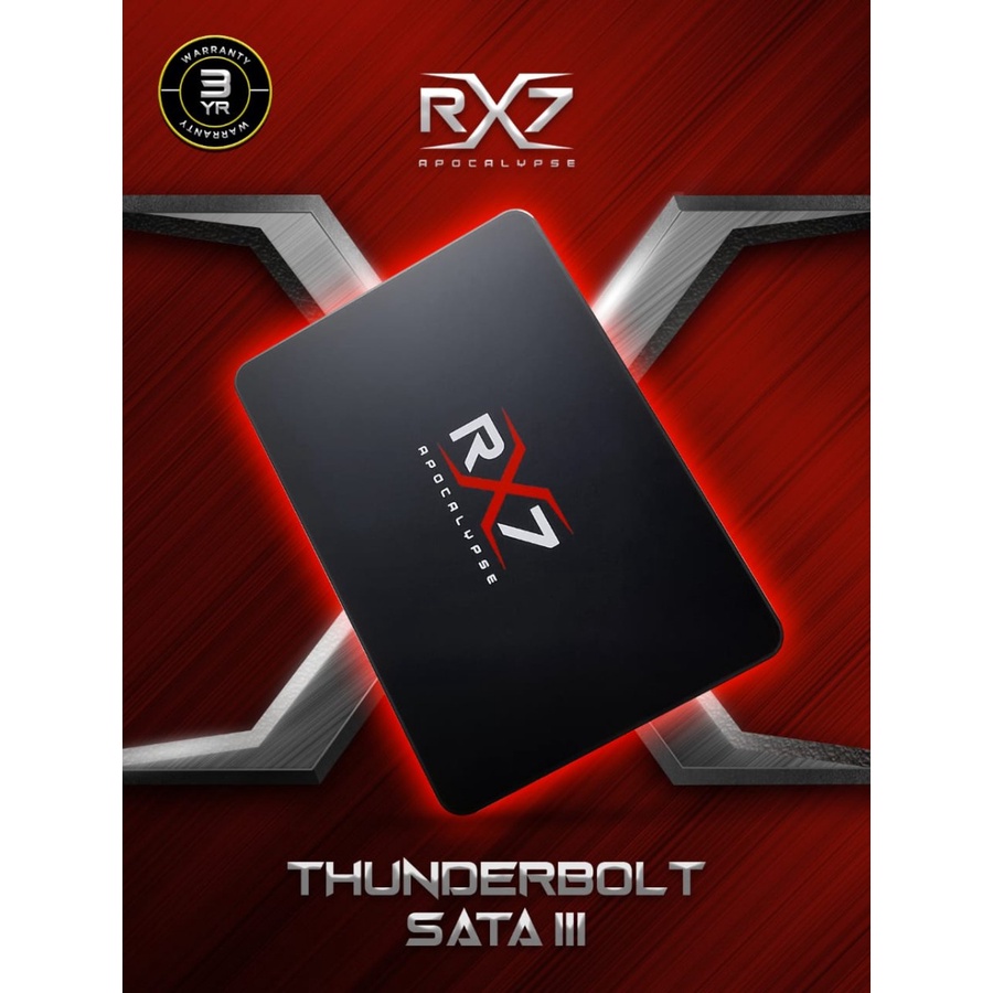 SSD 256 GB 256GB RX7 SATA III