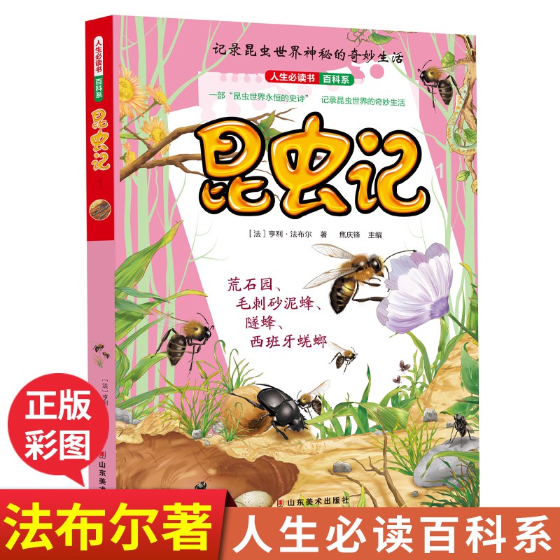 Buku Mewarnai Desain Serangga Kupu Kupu Untuk Murid Sd Shopee