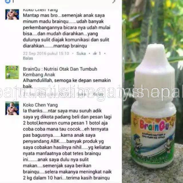 BRAINQU Nutrisi Otak Anak Madu Anak Pintar Madu Pintar