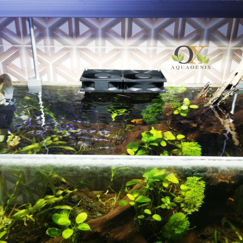 Kipas Pendingin Aquascape Aquarium | cooling fan full set