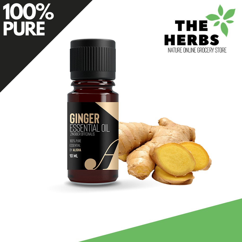 Minyak Atsiri Jahe Ginger Essential Oil 100% Murni