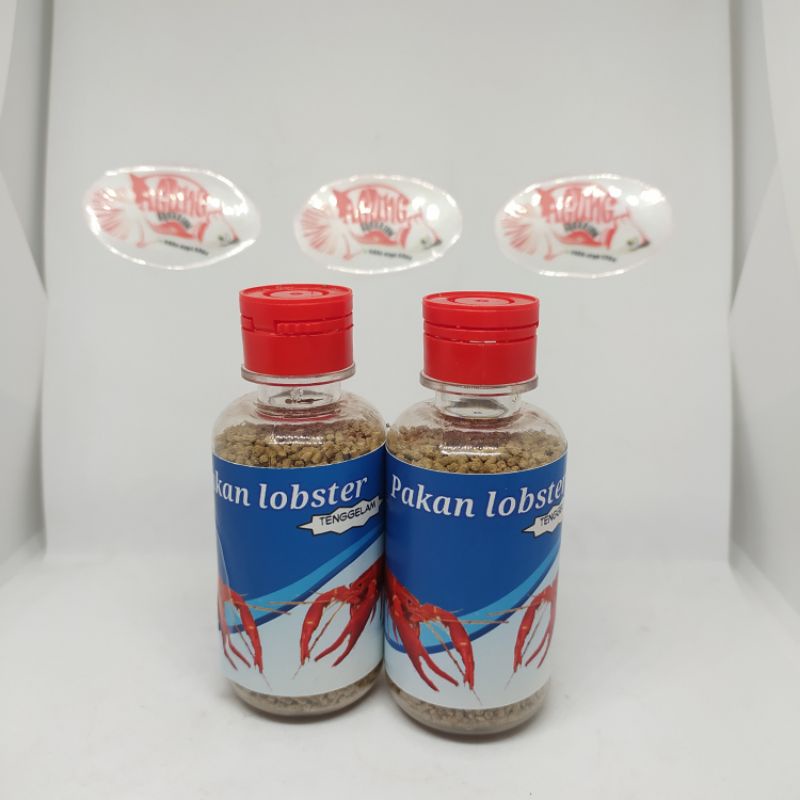 pakan Udang lobster pelet tenggelam