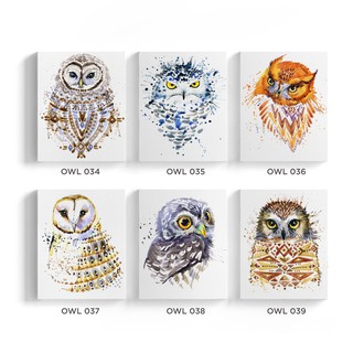 Dekorasi Owl Hiasan  Dinding  Rumah burung hantu Poster 