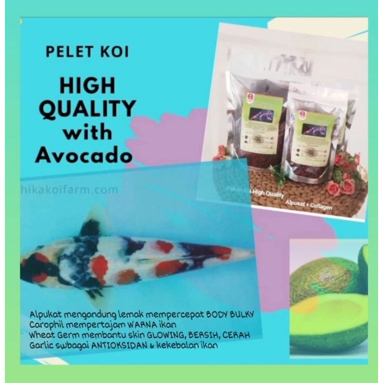 Pelet koi HQ untuk koi bulky,cerah,sehat
