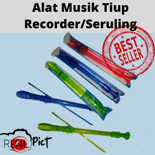 Alat Musik Tiup Recorder/Seruling Warna
