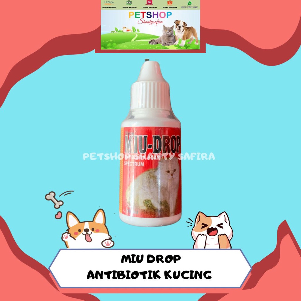 MIU-DROP OBAT ANTIBIOTIK BOARD SEPECTRUM