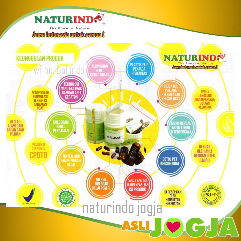 Obat Sesak Nafas Asma Bronkitits TBC Hidung Tersumbat Batuk Berdahak Herbal BRON C FIT Naturindo-5