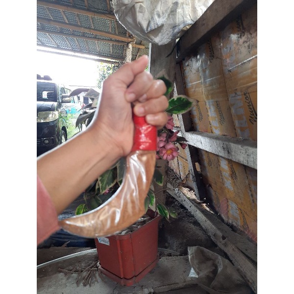 Karambit Kayu Pencak Silat Beladiri