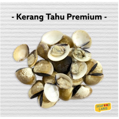 

KERANG TAHU BERSIH PREMIUM 1KG