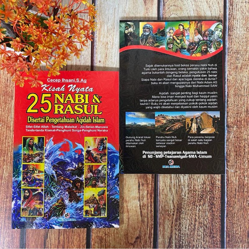 Jual Buku Bergambar Kisah Nyata 25 Nabi Dan Rasul Full Colour Soft ...