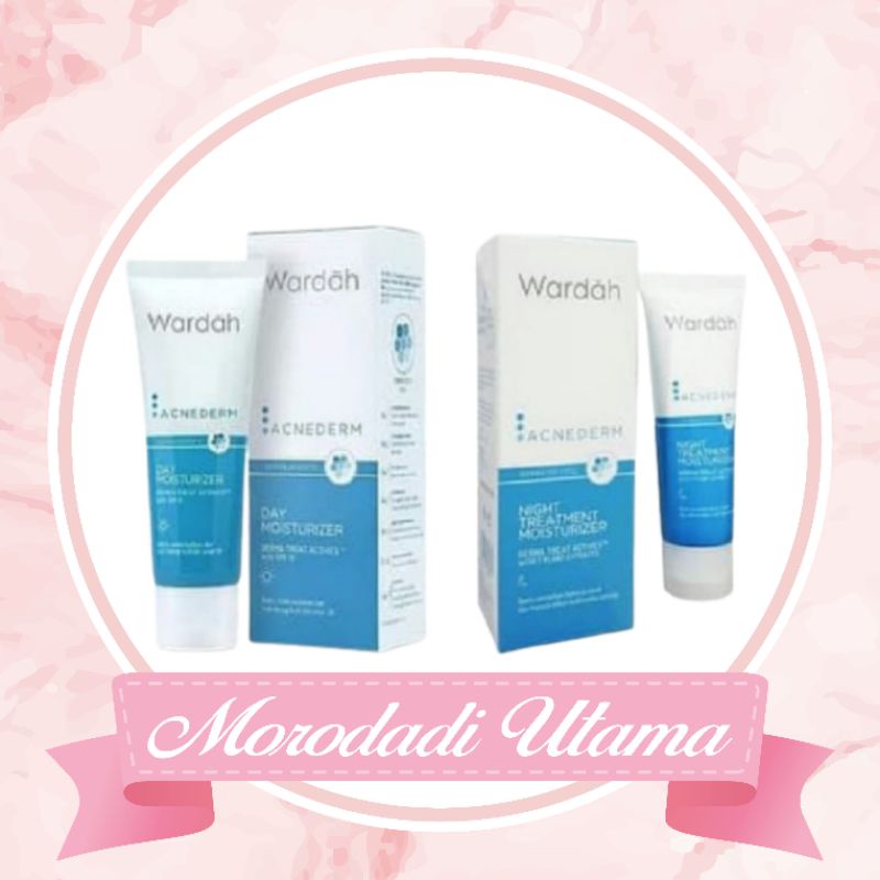 Wardah Acnederm Cream 40gr