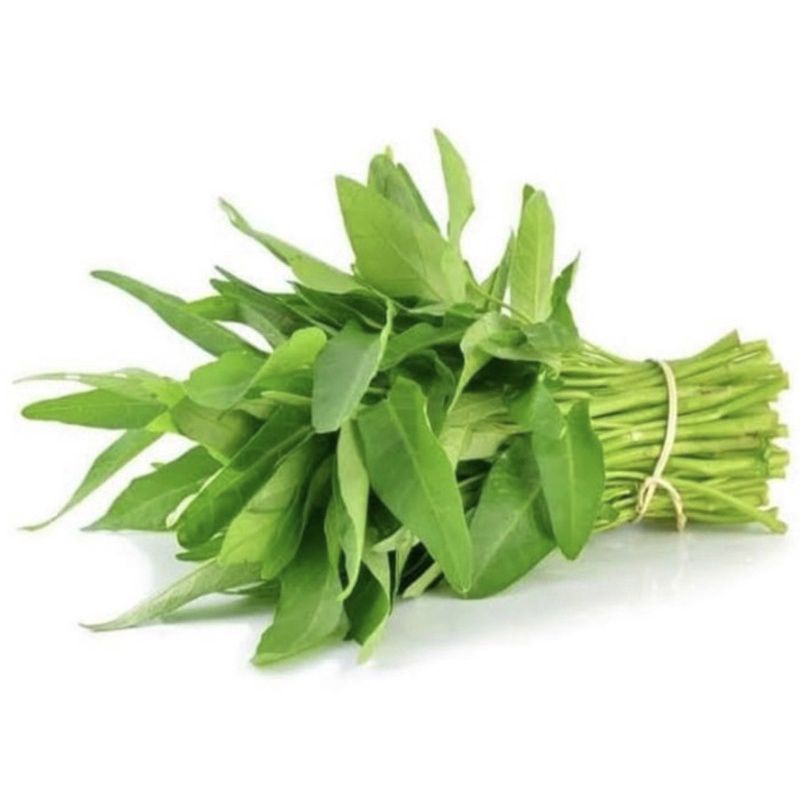 

Kangkung 1 ikat - Sayur Kangkung per Ikat - Kangkung Segar 1 ikat - Kangkung Segar - Sayur Kangkung Segar